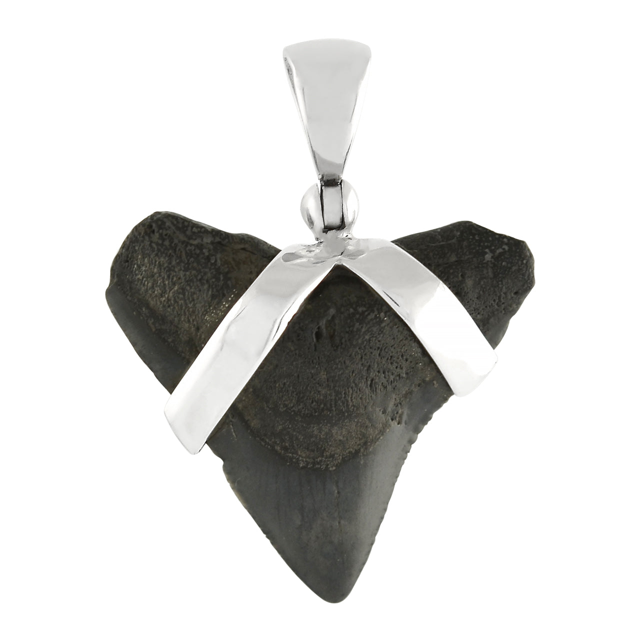 Fossil Shark Tooth Pendant