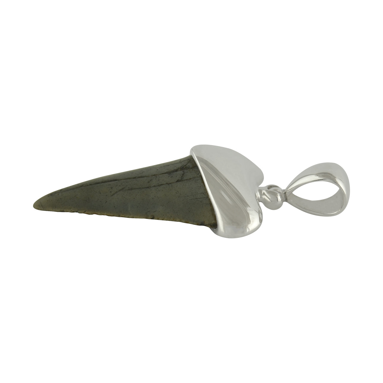 Fossil Shark Tooth Pendant