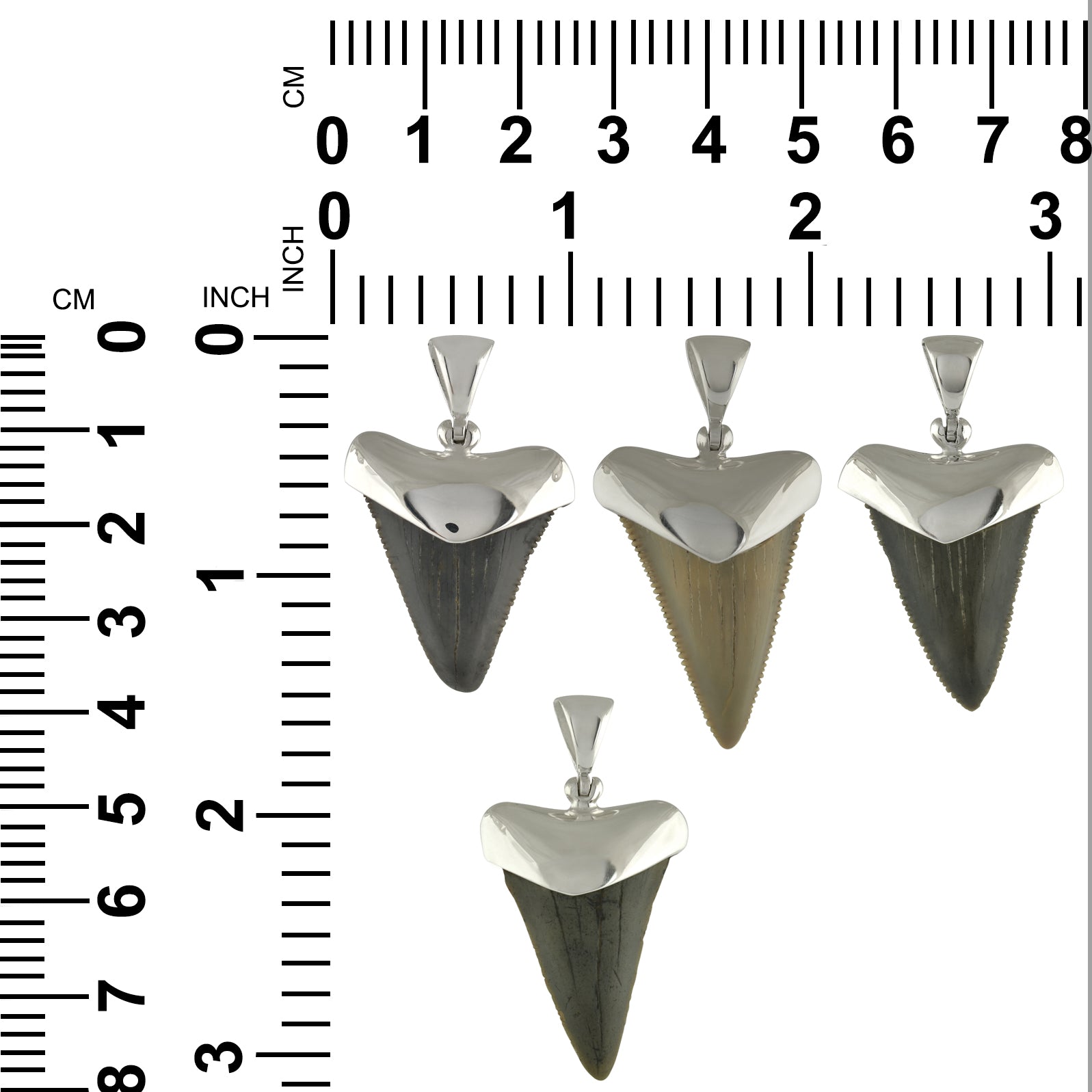 Fossil Shark Tooth Pendant