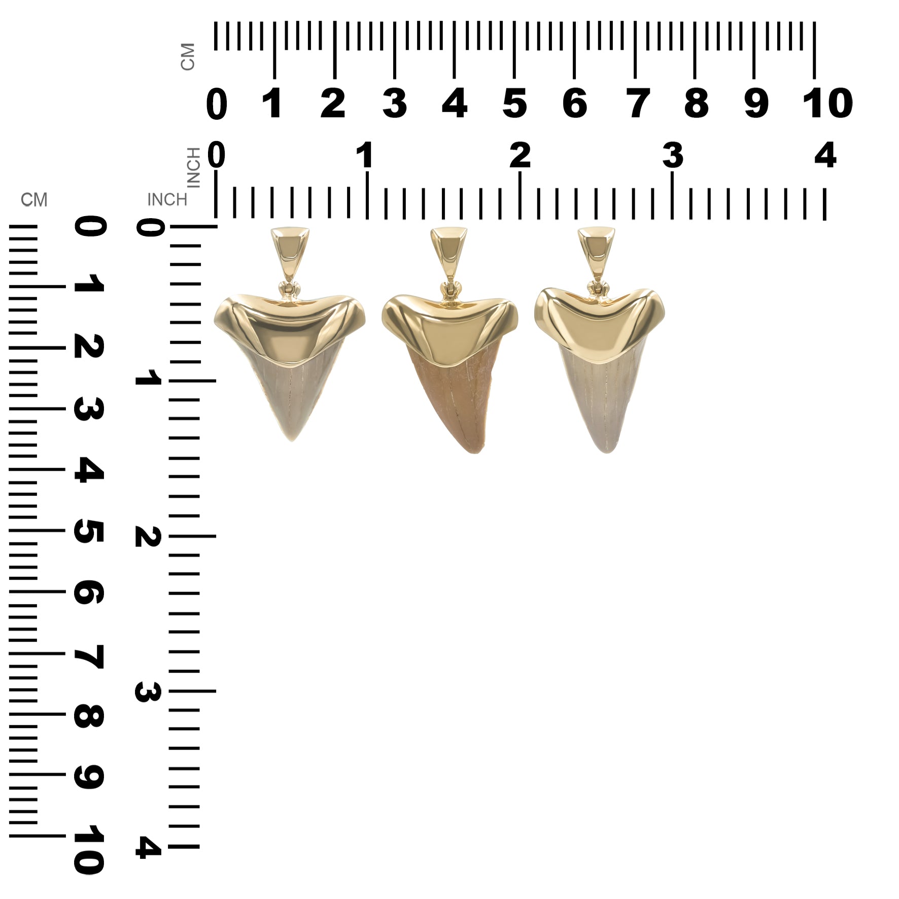 CFSTPE011.6