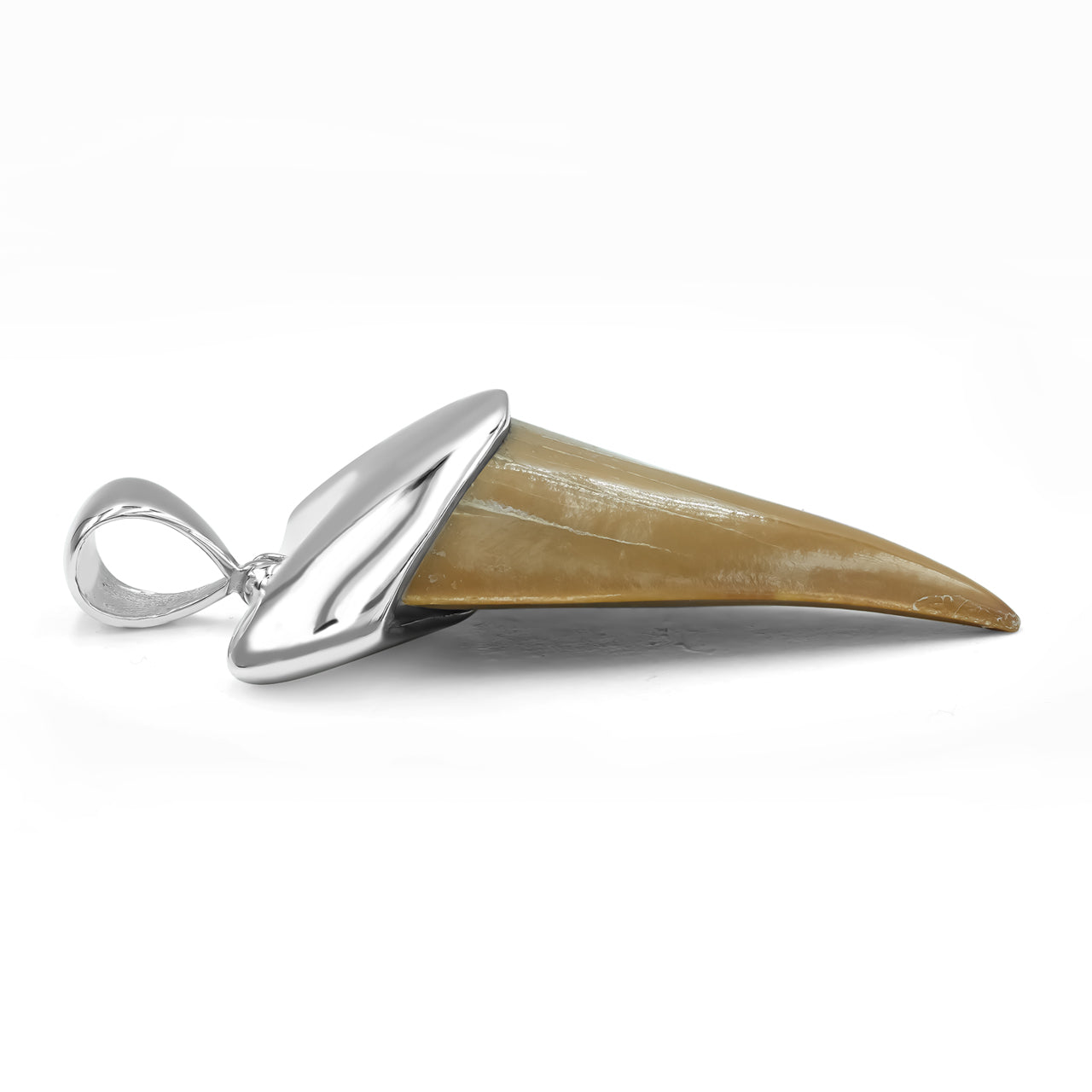 White Shark Tooth Pendant