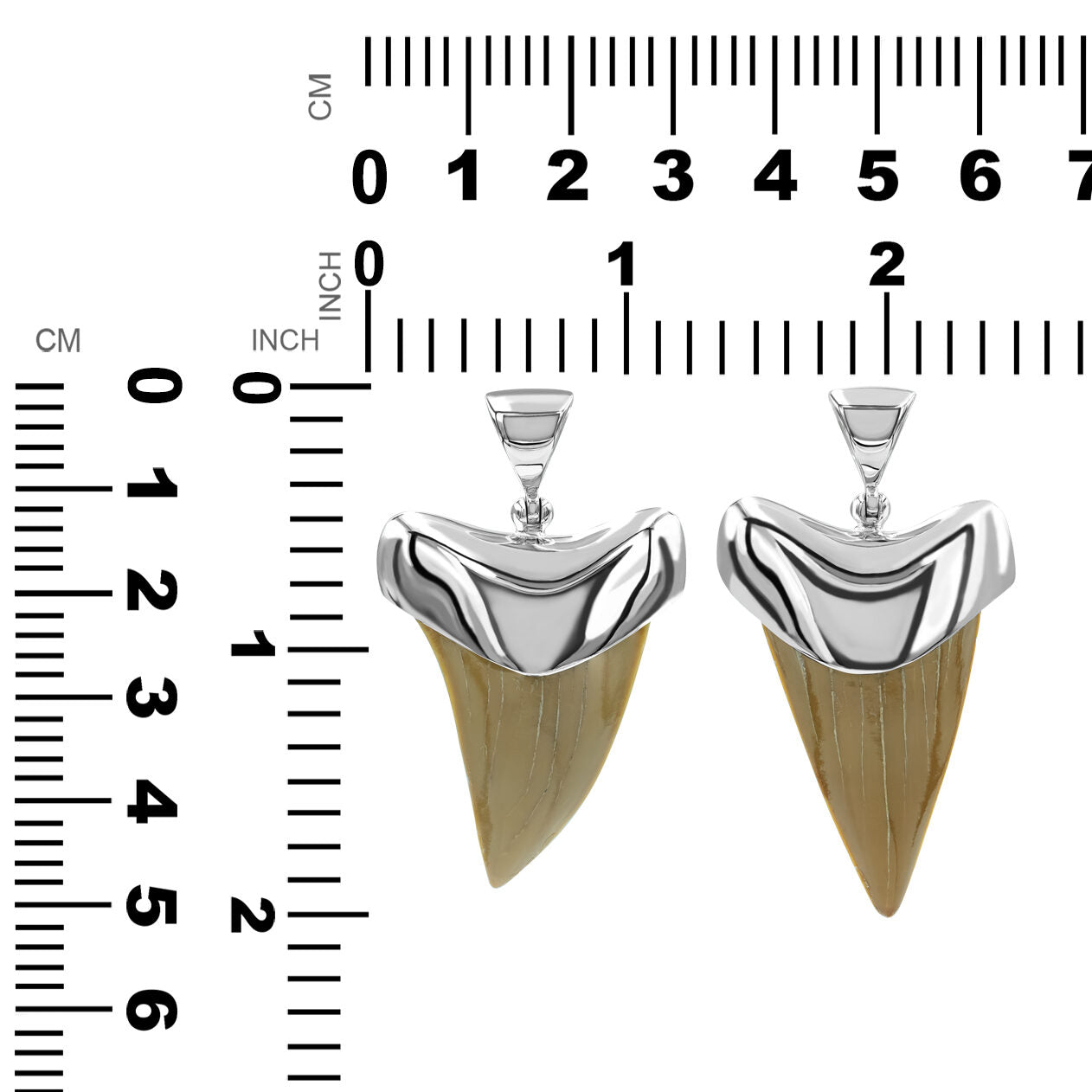 White Shark Tooth Pendant