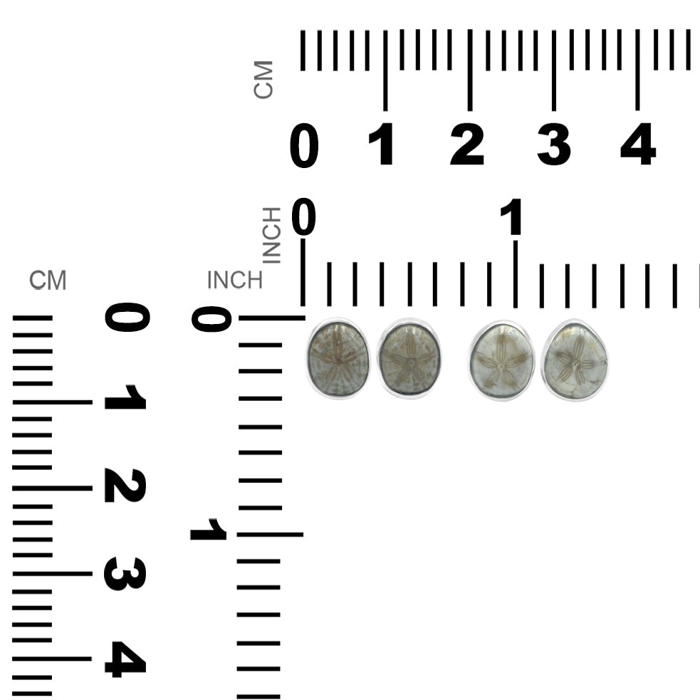 CFSUEA001.5
