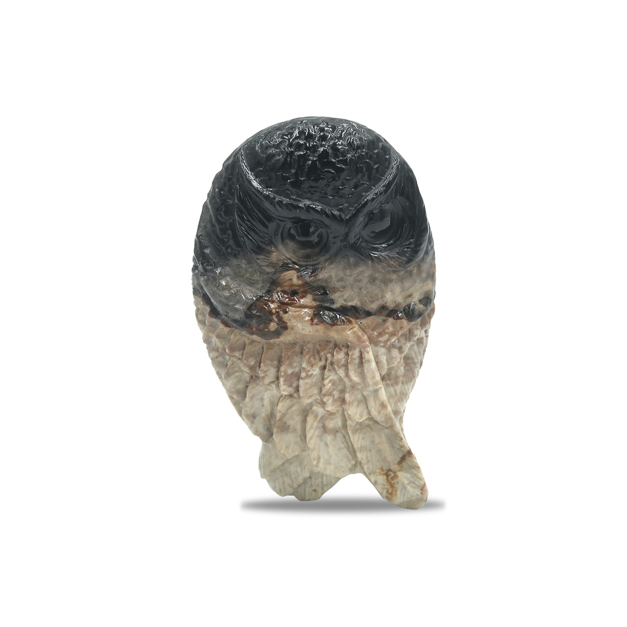 Carved Fossil Wood Owl