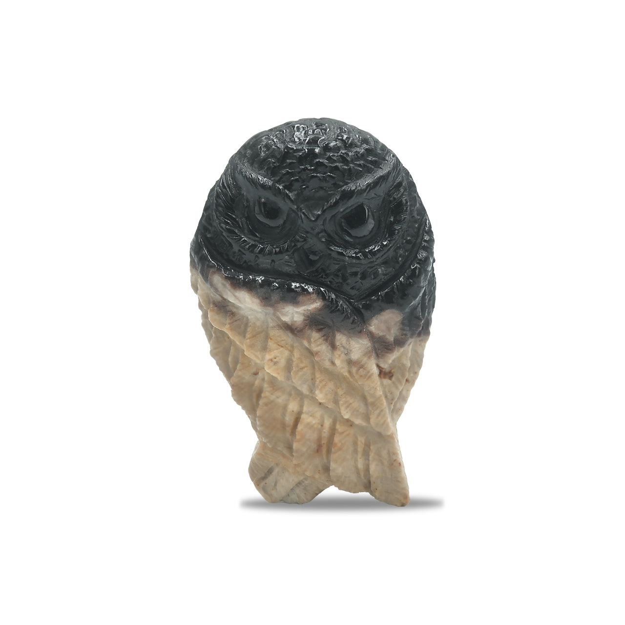 Carved Fossil Wood Owl