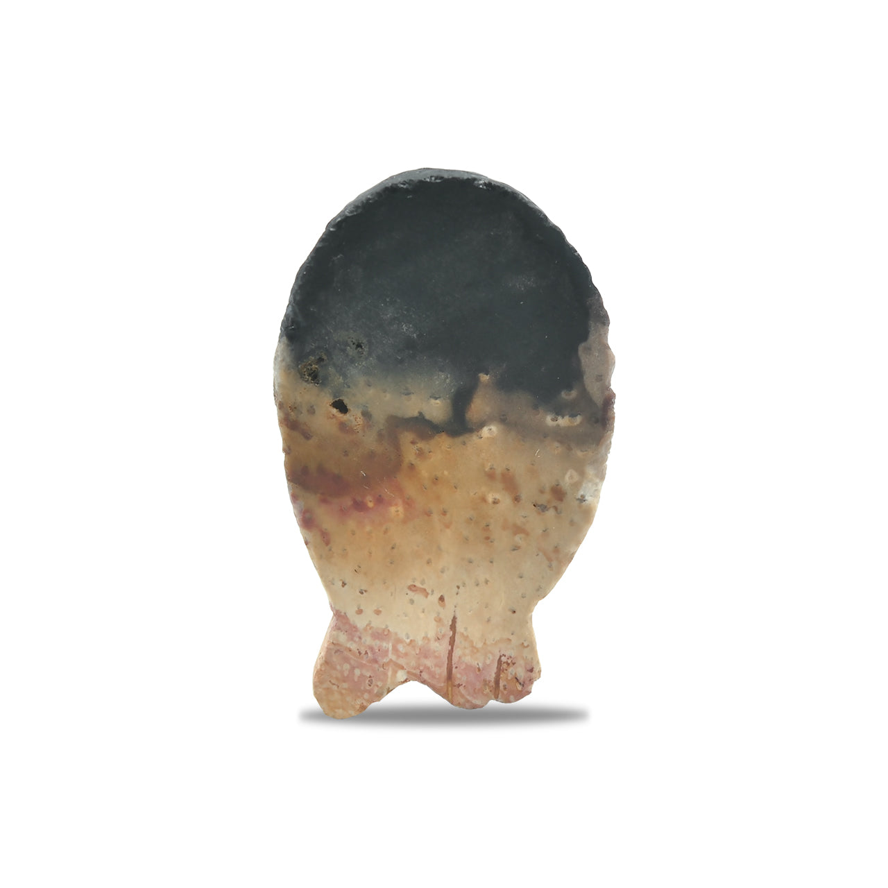 Carved Fossil Wood Owl