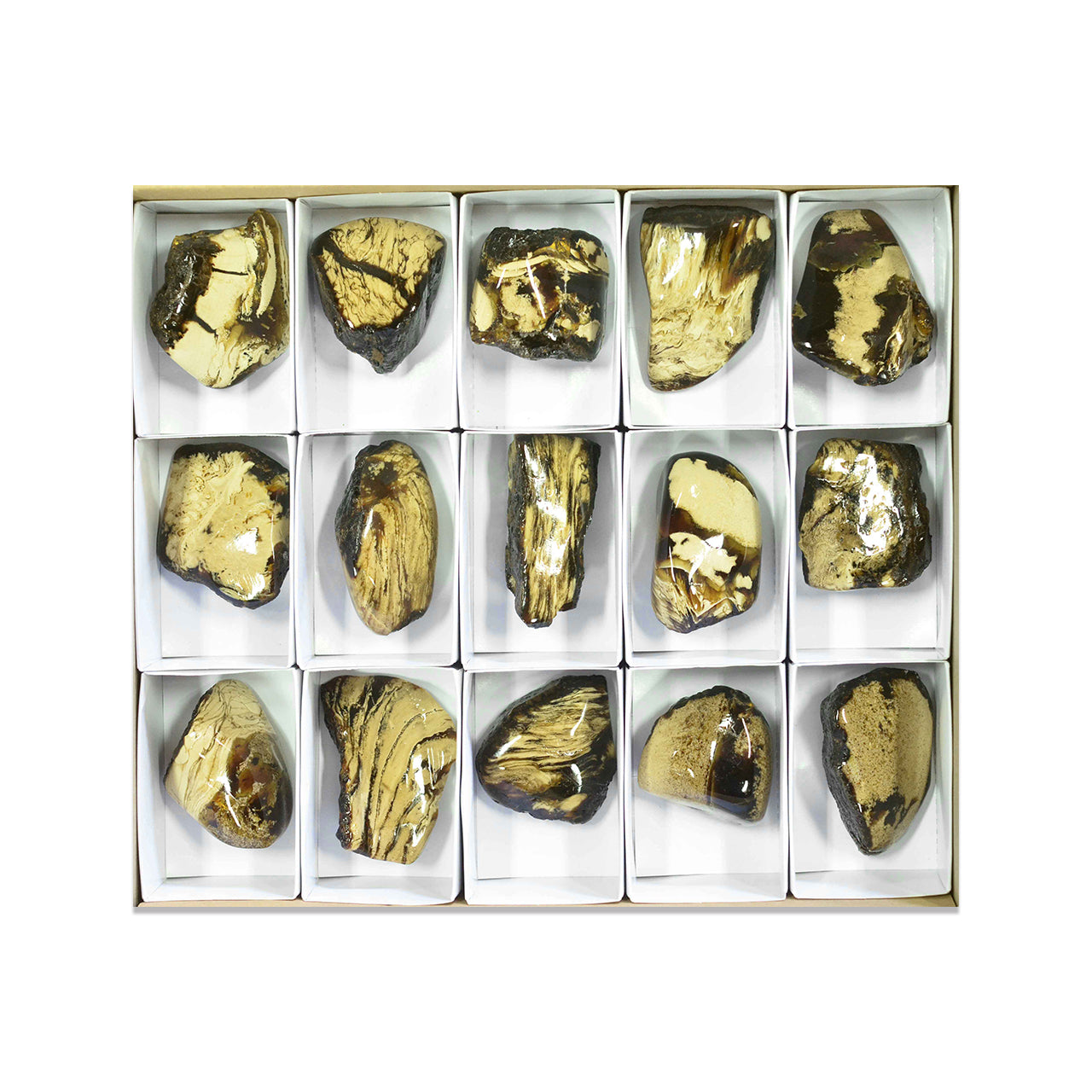 Large Box Milk and Honey Amber 15 pcs