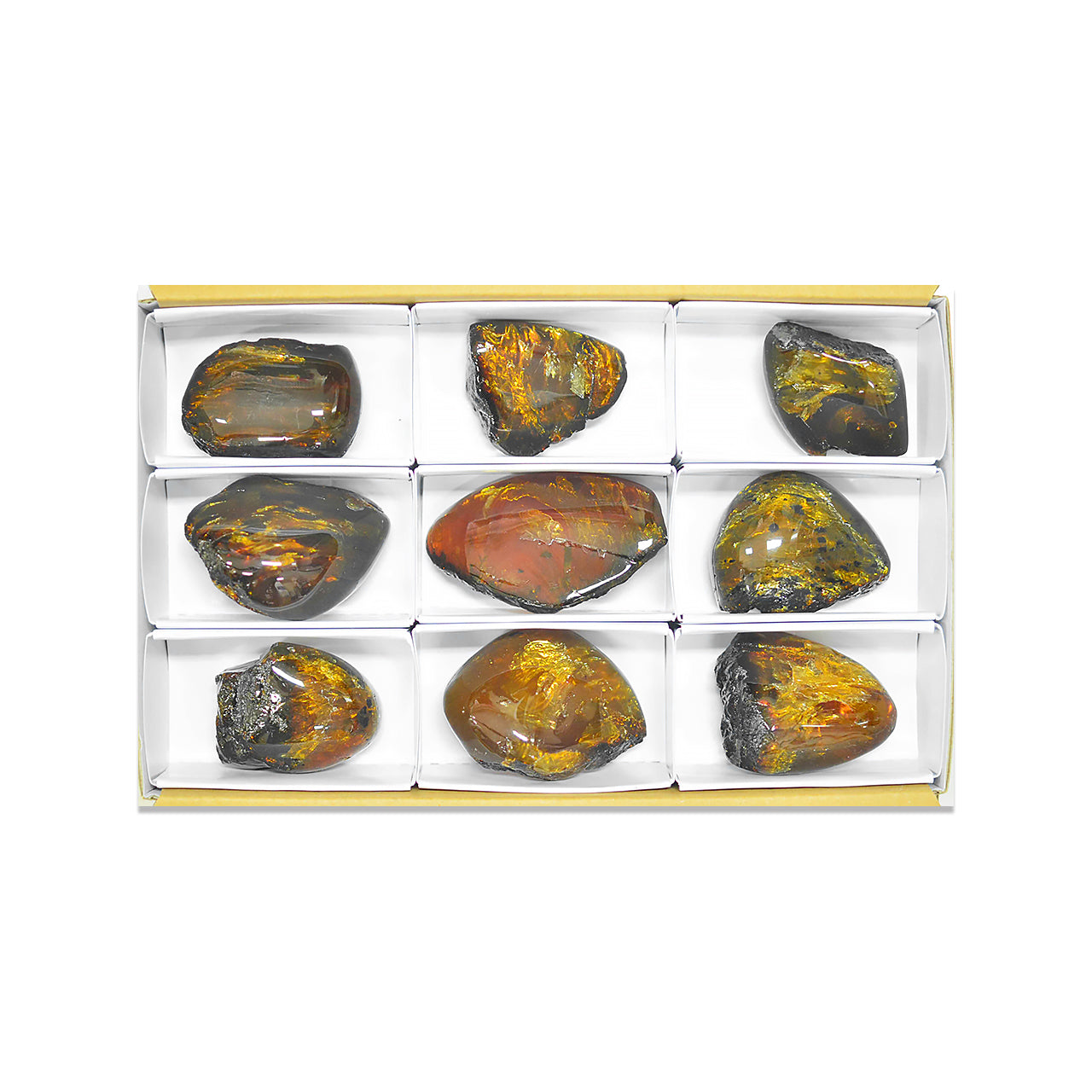 Small Box Lion's Mane Amber, 9 pcs