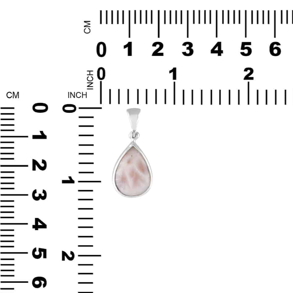CTHMPE002.6