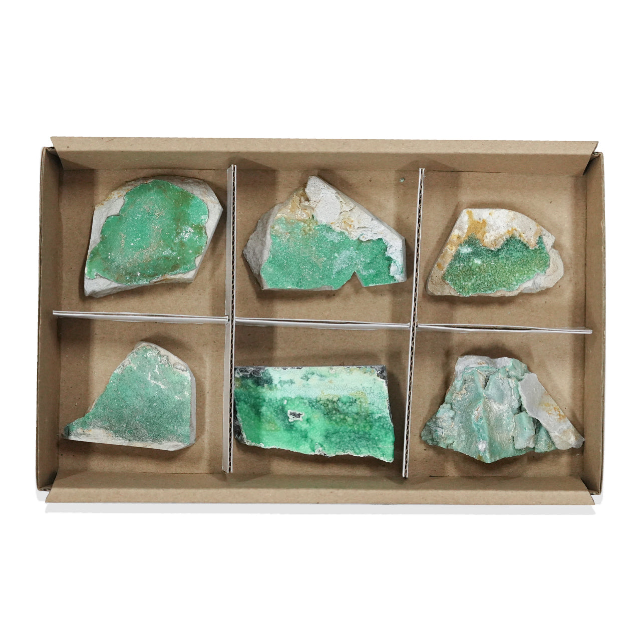 Variscite Drusy 6 pcs