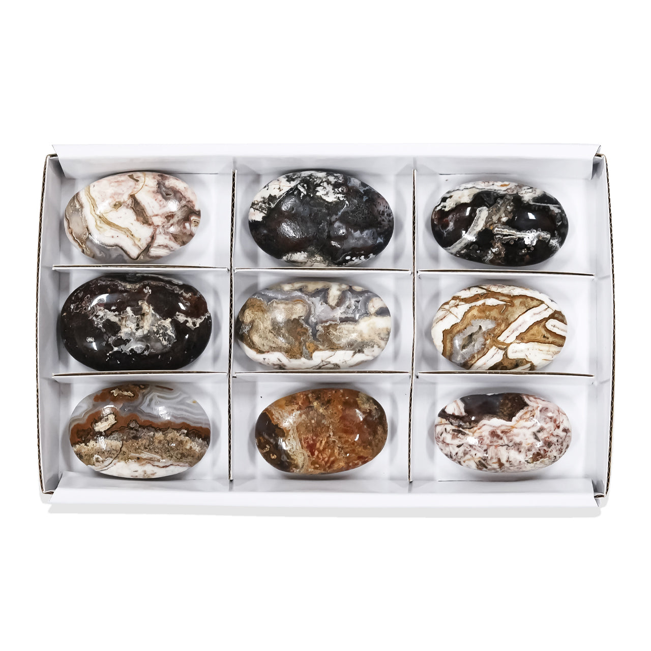 Verde Valley Agate Palm Stones - 9 pcs
