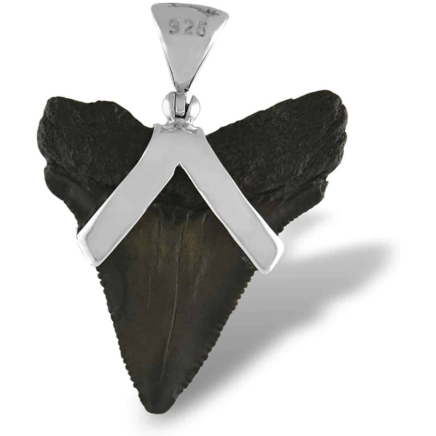 Fossil-Shark-Tooth-Sterling-Silver-Pendant-B00CJJ8S4A-2