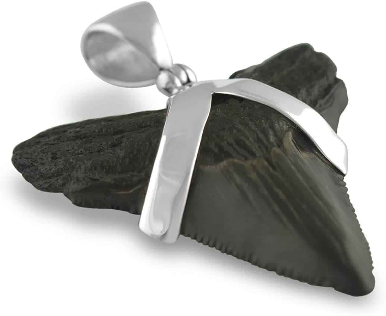 Fossil-Shark-Tooth-Sterling-Silver-Pendant-B00CJJ8S4A-4
