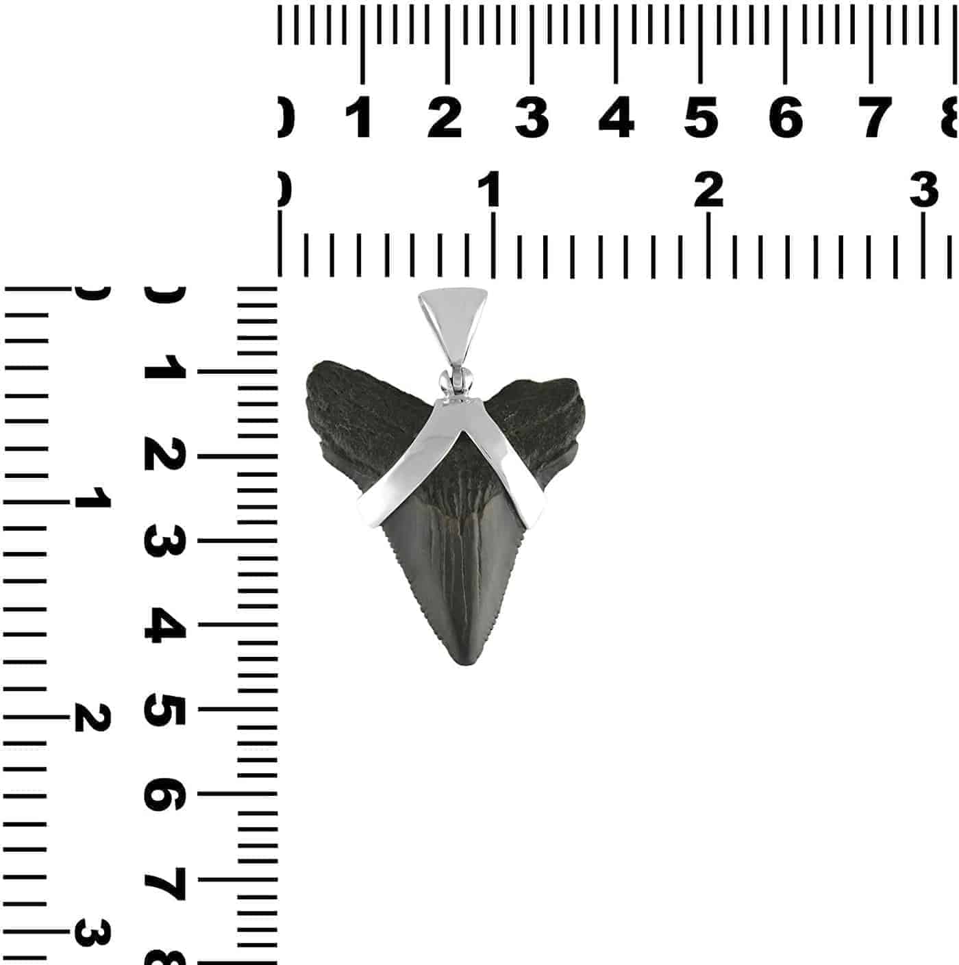 Fossil-Shark-Tooth-Sterling-Silver-Pendant-B00CJJ8S4A-5