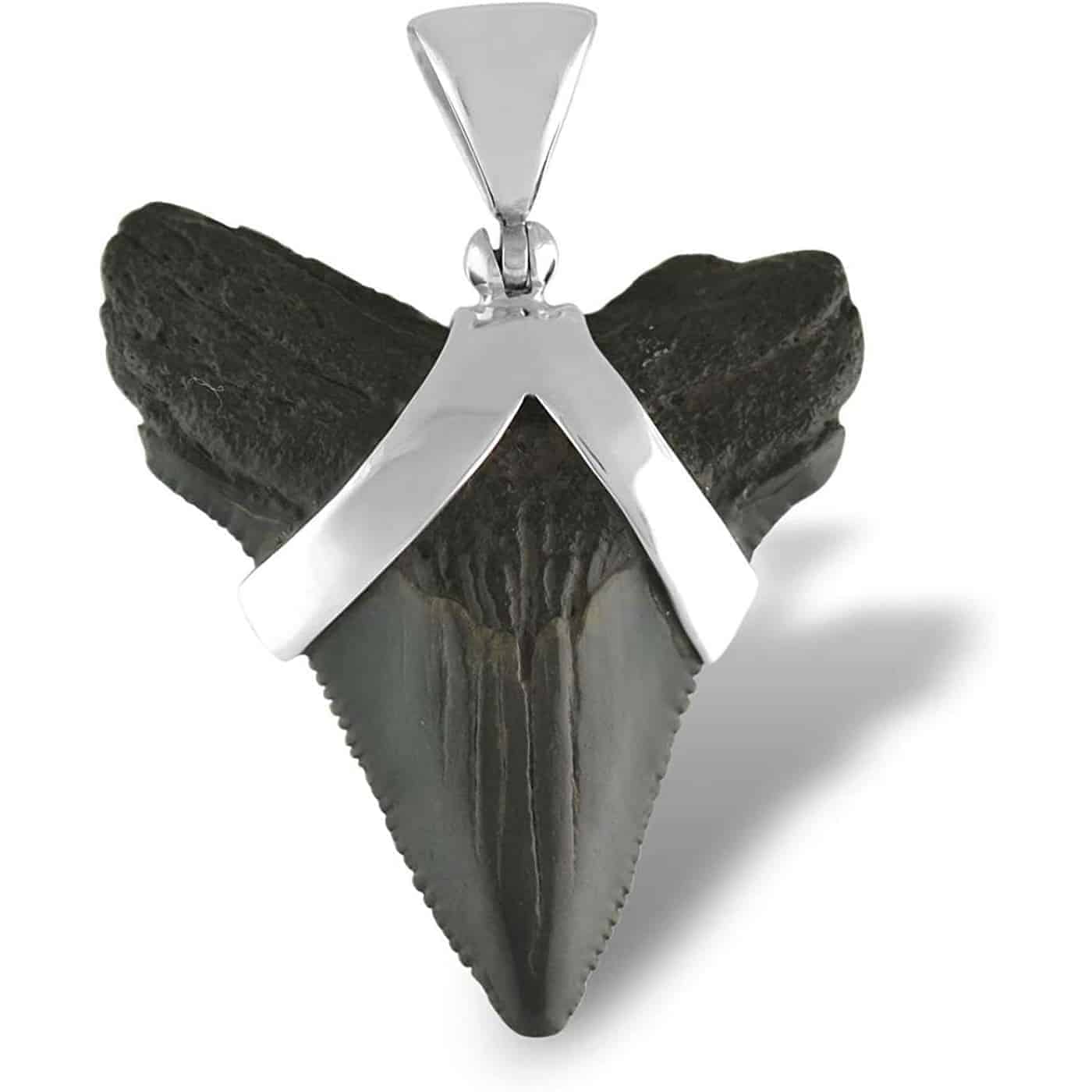 Fossil-Shark-Tooth-Sterling-Silver-Pendant-B00CJJ8S4A