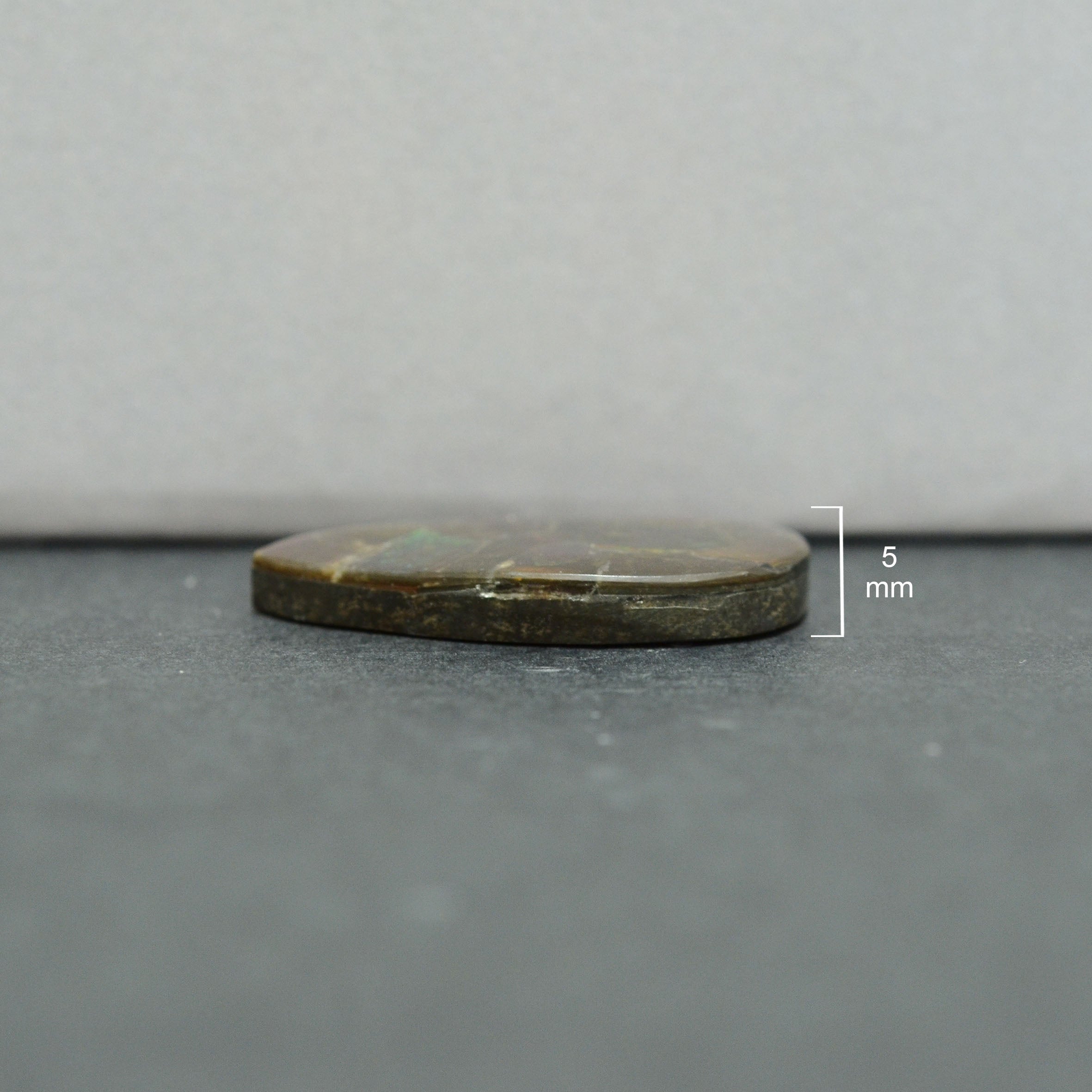Ammolite Loose stone