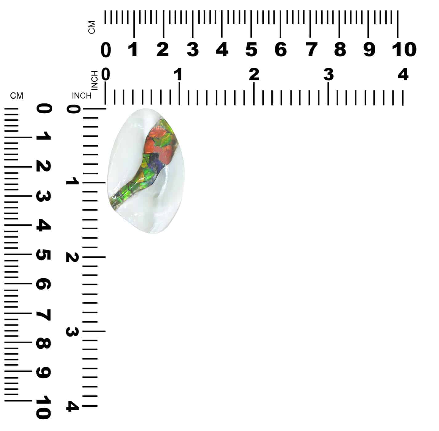 OMSILS000011.3