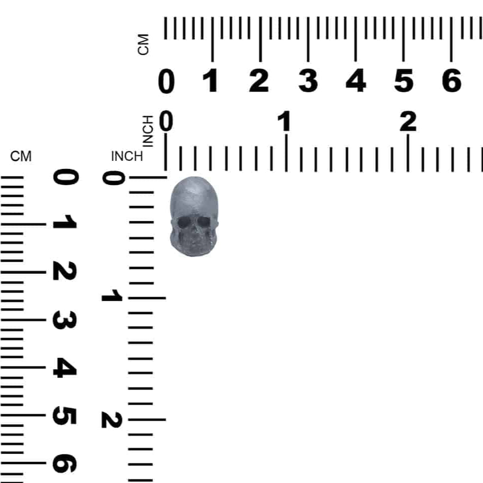 OSILCV006.3