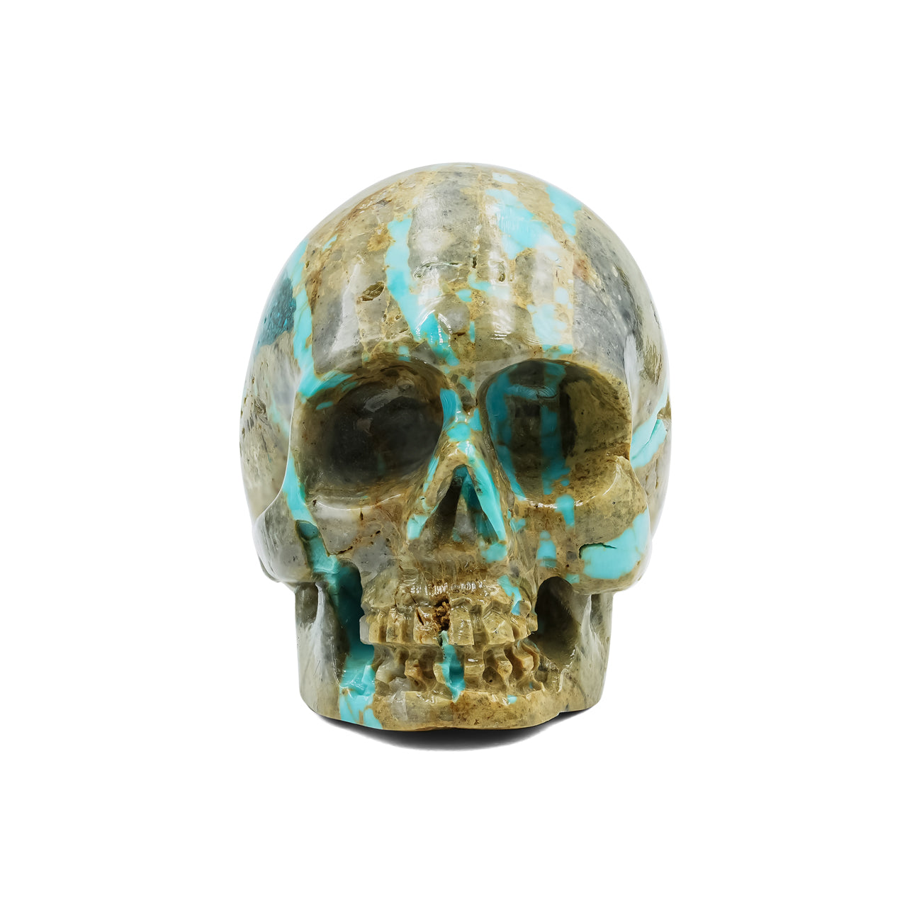 Hand Carved Turquoise Skull Carving 319.5cts