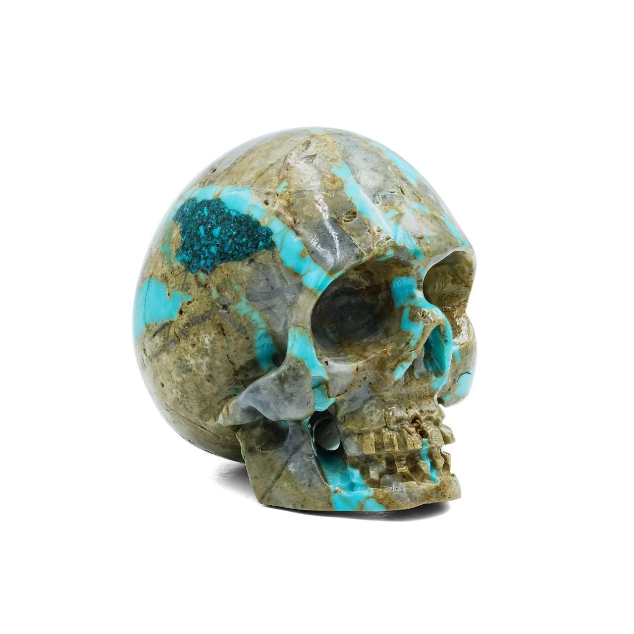 Hand Carved Turquoise Skull Carving 319.5cts