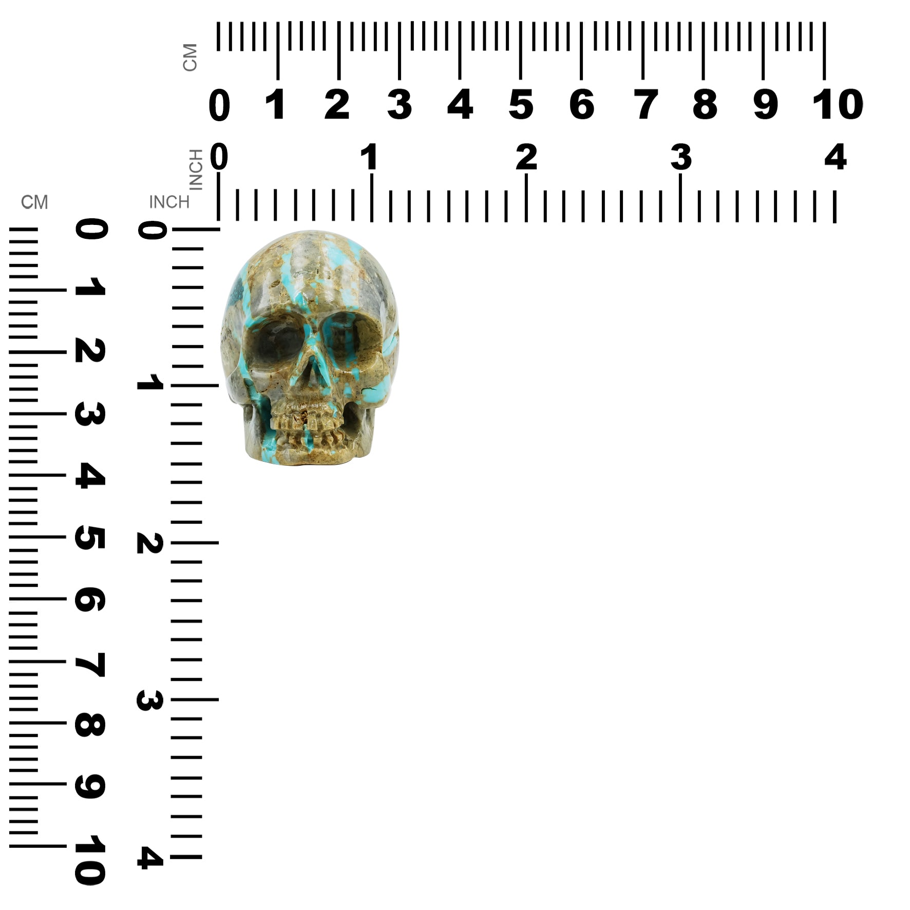 Hand Carved Turquoise Skull Carving 319.5cts