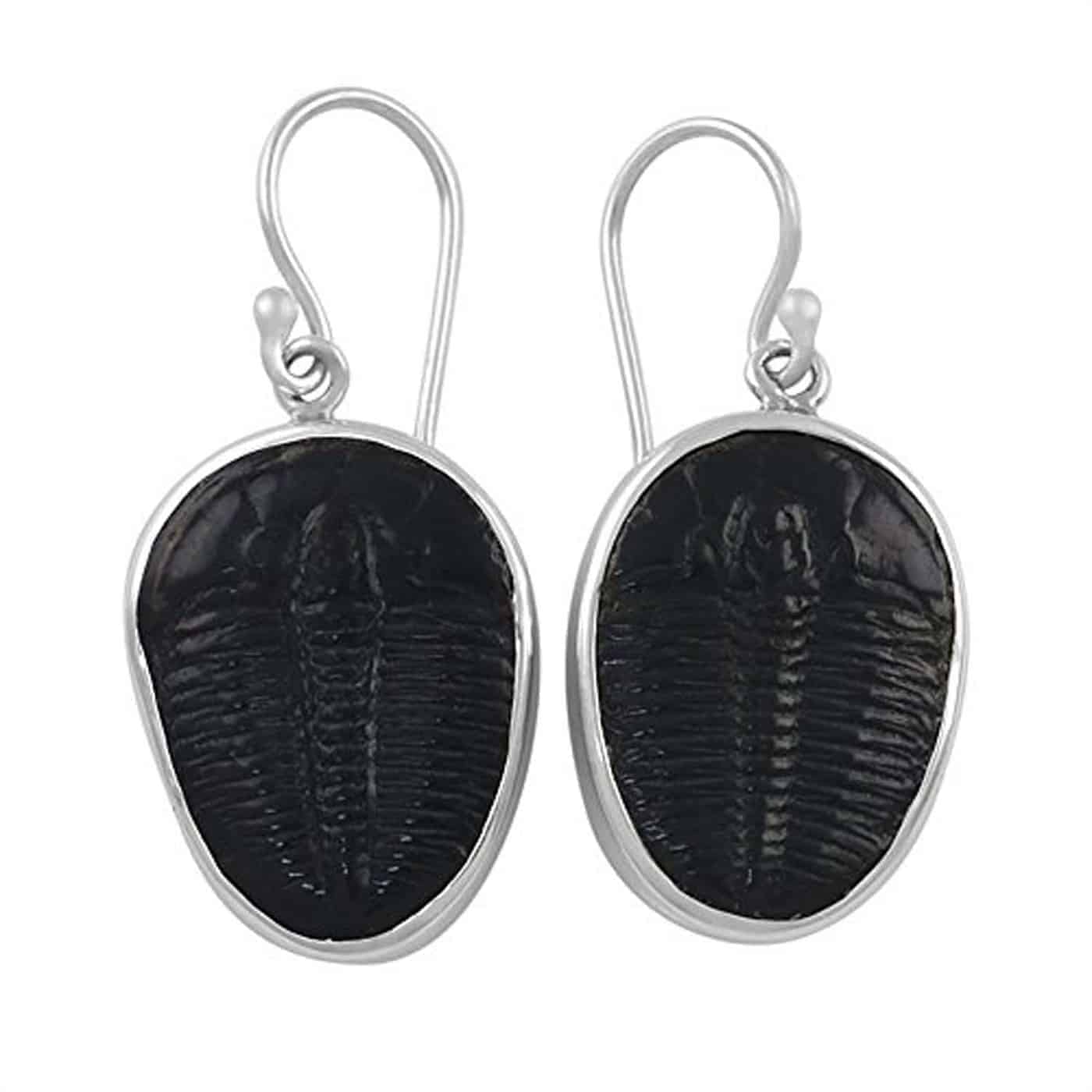 Starborn-Creations-Sterling-Silver-Fossilized-Trilobite-Earrings-B00RM66NE2