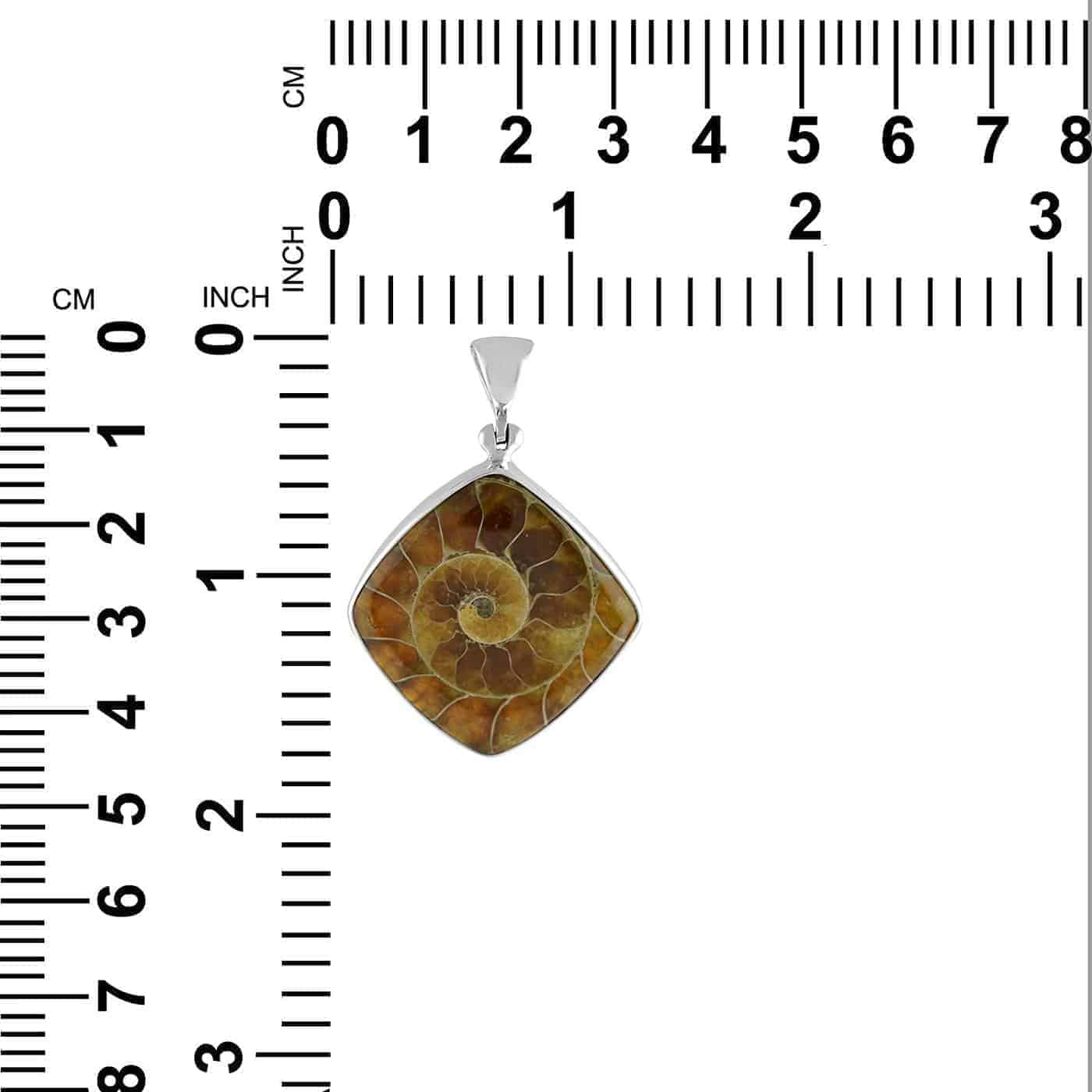 Starborn-Sterling-Silver-Fossilized-Ammonite-Pendant-B07QH3HYFK-6